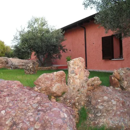 לינה וארוחת בוקר Il Vigneto