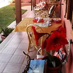 Il Vigneto