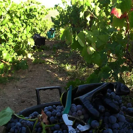 Il Vigneto 3* Gonnesa