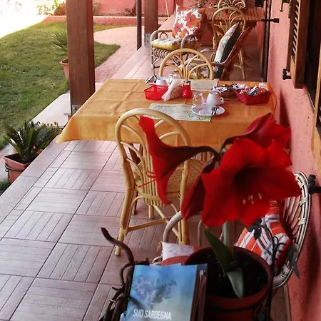 Il Vigneto