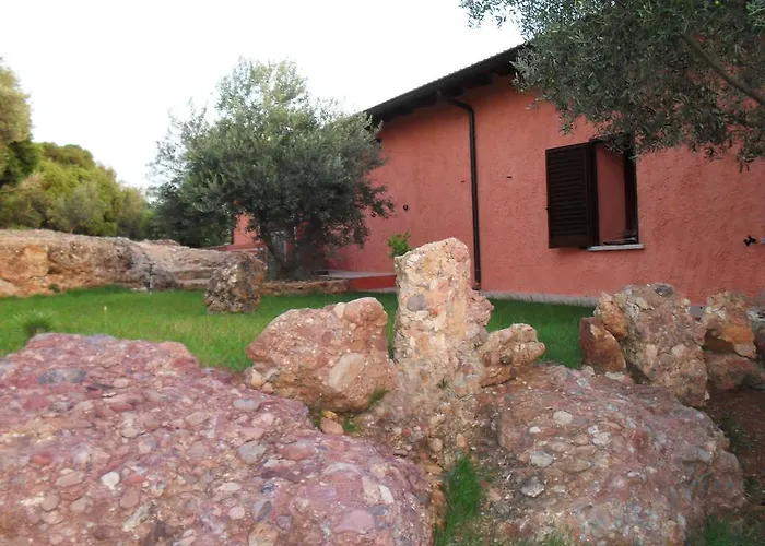 Bed & Breakfast Il Vigneto